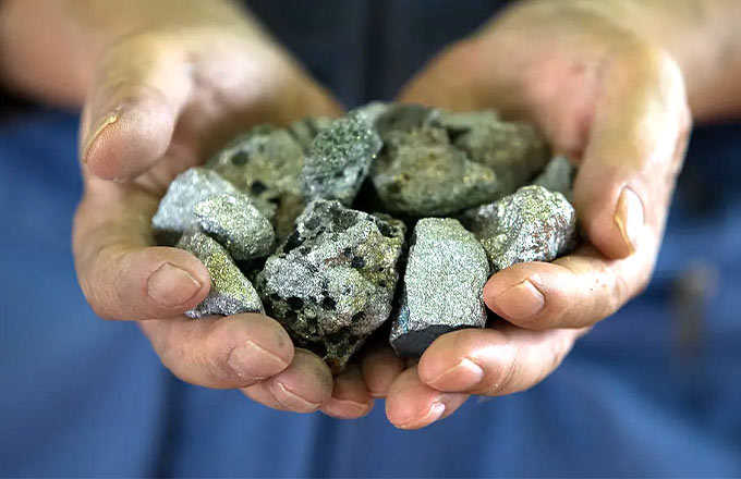 Редкозёмы ждут правильных решений